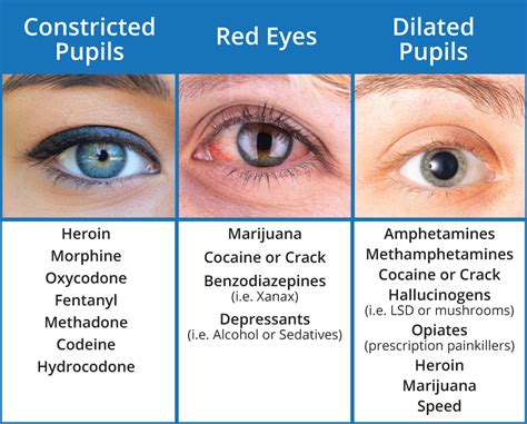 Therefore, it could be concluded that dilated pupils might last<b> at least several hours. . How long do eyes stay dilated after drug use